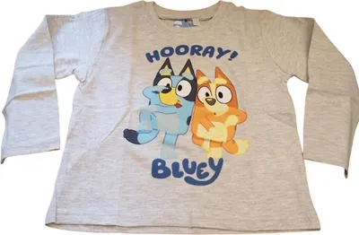 Produktbild von Bluey & Bingo Langarm-T-Shirt für Jungen | Grau, Größe 110