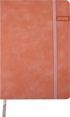 Produktbild von Terminplaner 2025 / Wochenkalender / Farbe: pink