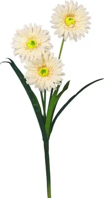 Zdjęcie produktu dla Sztuczna Gałązka Gerber Kremowa - Dekoracja Wysokiej Jakości 55 cm