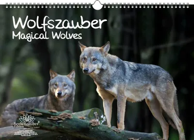 Produktbild von Wolfszauber DIN A3 Immerwährender Kalender Wolf und Wölfe - Seelenzauber