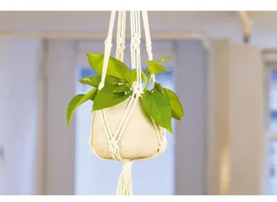 Produktbild von Eleganter Makramee Pflanzenhänger, grau meliert, geflochten, B 13 cm, H 11 cm, für kleine Winkel