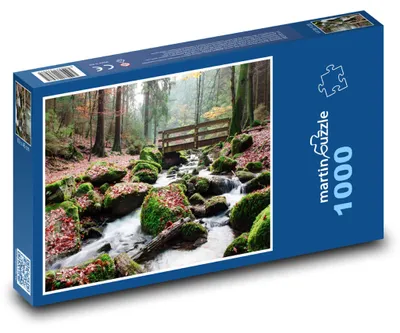 Zdjęcie produktu dla Puzzle 1000 Las Teutoburski - rzeka w przyrodzie - martinpuzzle