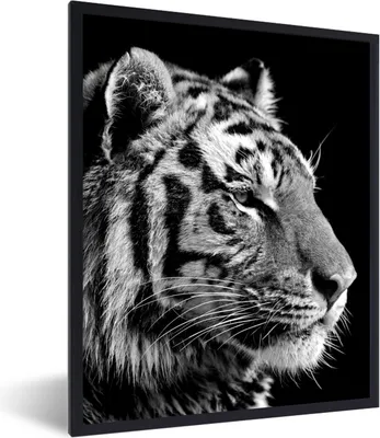 Produktbild von MuchoWow® MuchoWow® Gerahmtes Poster Tiger - Tiere - Schwarz - Weiß 30x40 cm - Poster mit zchwarzem Bilderrahmen - Wanddeko - Kunstdrucke