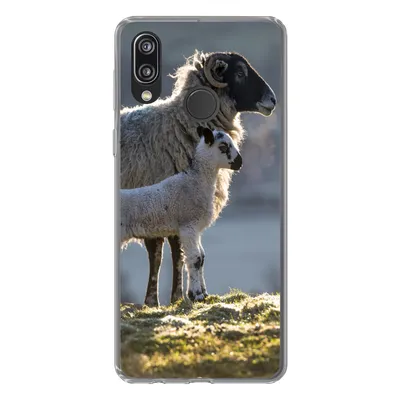 Produktbild von MuchoWow® Handyhülle Schutzhülle Hülle für Huawei P20 Lite (2020) Schaf - Lamm - Sonne Silikon Softcase Handy Hülle - Kartenhalter