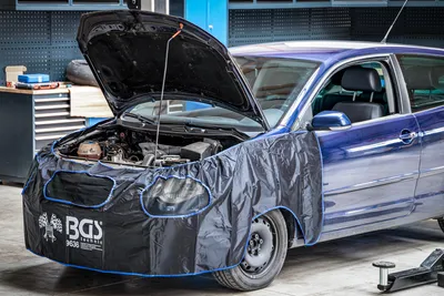 Immagine prodotto di BGS Protezione anteriore per auto - 9636