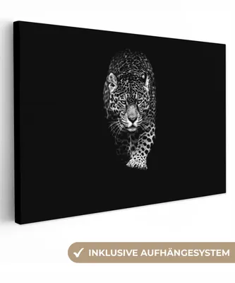 Produktbild von MuchoWow® - Leinwandbilder - Tiere - Schwarz - Leopard - Weiß - Wild, Wandbild, Wanddeko Bilder Wohnzimmer, 120x80cm