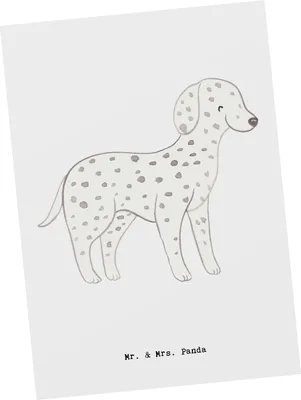 Produktbild von Mr. & Mrs. Panda Postkarte Dalmatiner Lebensretter - Weiß - Geschenk, Postkarten, Grußkarte, Ansichtskarte, Ansichtskarten, Dalmatinac, einzelkarte