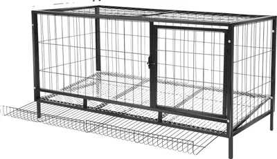 Image de Poulailler, ramassage automatique des œufs, utilisation à l'intérieur et à l'extérieur, noir
