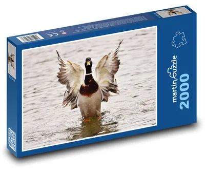 Produktbild von Puzzle 2000 Ente auf Wasseroberfläche - martinpuzzle