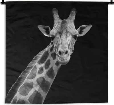 Produktbild von MuchoWow® Wandteppich Wandbehang Giraffe - Wildtiere - Schwarz-Weiß - Porträt 120x120 cm Tapisserie Dekoration Wandtuch - Modern - Baumwollgewebe