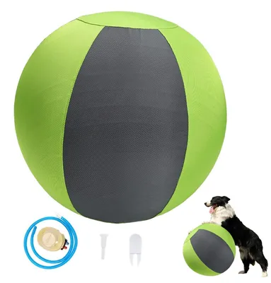 Imagen del producto de Pelota inflable para perros