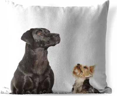Produktbild von MuchoWow® Outdoor Kissen - Aufstrebende Hunde - 60x60 cm - Wetterfest - Lounge Kissen - Dekoration - Schlaf Kissen