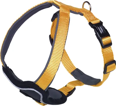Produktbild von Nobby Komfort Geschirr "Classic Preno" orange L: 35-45cm