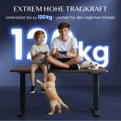 Produktbild von FLEXISPOT E5 Plus Höhenverstellbarer Schreibtisch 120x80cm, Doppelmotor, 25MM EINTEILIGE TISCHPLATTE, USB-Anschluss, 120KG Tragkraft, Weiß