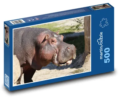 Zdjęcie produktu dla martinpuzzle - Puzzle 500 elementów - Słoń