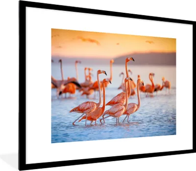 Produktbild von MuchoWow® Gerahmtes Poster Flamingo - Tiere - Wasser - Rosa 80x60 cm - Poster mit Schwarzem Bilderrahmen Wandposter Rahmen Foto Bilder - Schlafzimmer-Dekorationen - Fotoposter