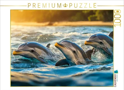 Produktbild von CALVENDO Puzzle Schaut euch mal diesen Sonnenuntergang an | 1000 Teile Lege-Größe 64x48cm Foto-Puzzle für glückliche Stunden
