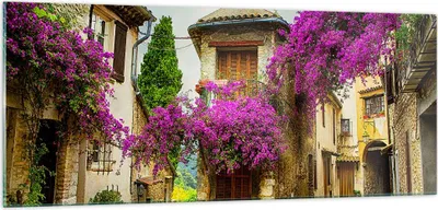 Produktbild von Bilder auf glas - Straße Sommer Blumen - 100x40cm - Glasbilder - Wandbilder - Kunstdruck - zum Aufhängen bereit - Wanddekoration aus Glas - Glas Bilder - Wandbild auf Glas - Einteilig - GAB100x40-3589