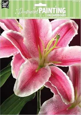 Immagine prodotto di GRAFIX Diamante su cartone Gigli 21x29cm