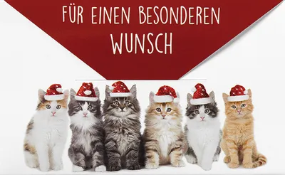 Produktbild von Weihnachten - Geldkarte - Glückwunschkarte im Format 6,7 x 11 cm mit