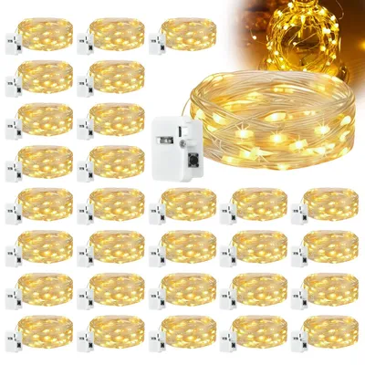 Mini-Lichterkette, 30 Stück, 2 m, 20 LEDs, 3 Modi, warmweiß