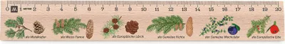 Image de Metrie, Didakt-M02 Règle en bois, imprimée conifères, 20 cm