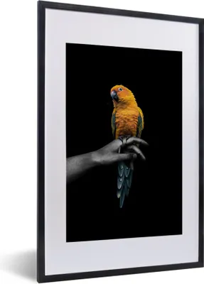 Produktbild von MuchoWow® MuchoWow® Gerahmtes Poster Vogel - Zweig - Papagei 40x60 cm - Poster mit zchwarzem Bilderrahmen - Poster in Rahmen