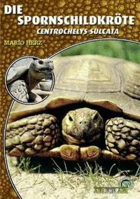 Immagine prodotto di Die Spornschildkröte