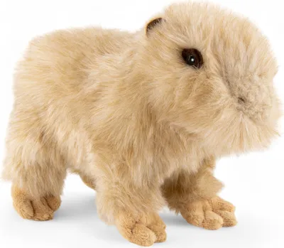 Immagine prodotto di Carl Dick capibara, capibara 30 cm peluche, peluche, peluche 3652