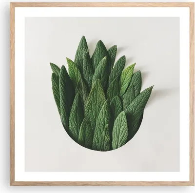 Produktbild von Gerahmtes Poster - Rahmen in heller Eiche - Salbei Medizin Blätter - 60x60 cm - Wand Bild - Wanddeko - Wandbilder - Kunstposter - Wandposter - Bilderrahmen - Bilder - Kunstdruck - P2NAC60x60-4859