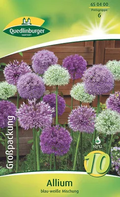 Produktbild von Allium Zierlauch Mischung (10 Stück) | Zierlauchzwiebeln von Quedlinburger