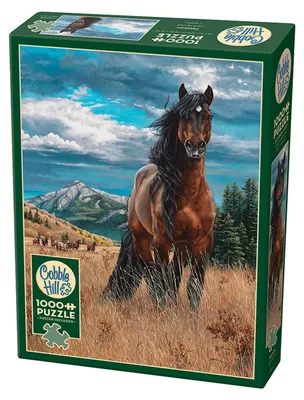 Zdjęcie produktu dla Cobble Hill Freedom, 1000 szt.