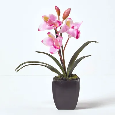 Obrázek produktu pro HOMESCAPES Umělé květiny Cymbidium Orchid růžová v černém květináči, 38 cm vysoká
