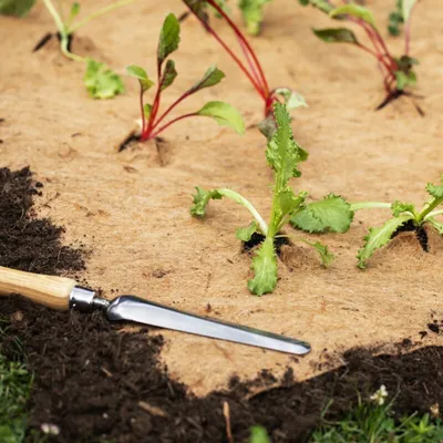 Produktbild von Jutevlies Mulchmatte