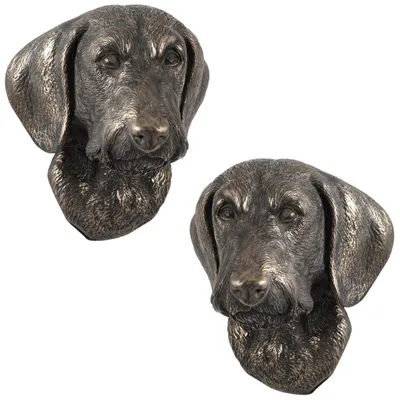 Produktbild von Art-Dog Wandbüste Dachshund Rauhhaar – Bronzepulver-Harz-Guss