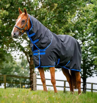 Produktbild von Horseware Amigo Ripstop 900D Plus 0g