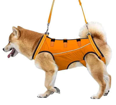 Produktbild von Verstellbares Hundeharnesse für Rollstühle, geeignet für Hunde mit Bewegungseinschränkungen