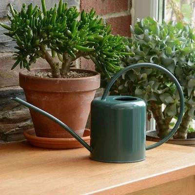 Productafbeelding van Waterkan 1,4 liter - Modern design in donkergroen