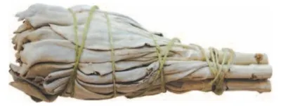Produktbild von Räucherstick Weisser Salbei "Smudge" 10cm