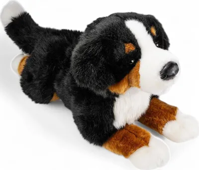 A plush toy dog lying down on a white background.