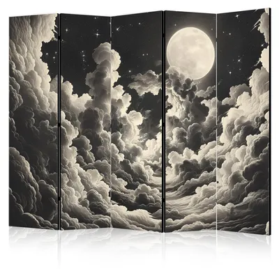 Produktbild von Muralo Beiseitig bedruckter PARAVENT 5-teilig Raumteiler klappbar MOND HINTER WOLKEN 225cmx172cm