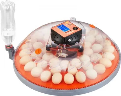 Produktbild von Automatische Brutmaschine – Für 48 Eier – 360° Luftzirkulation – Automatisches Wenden – Transparenter ABS-Inkubator