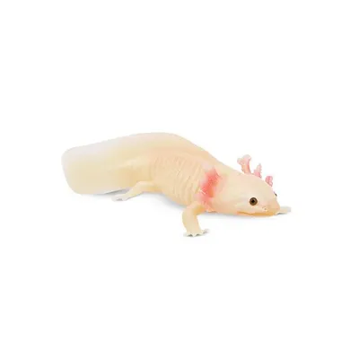 Produktbild von Toymany ML00310 Axolotl-Salamander 9,3 cm Reptilienreich