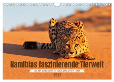 Produktbild von Namibias faszinierende Tierwelt (Wandkalender 2027 DIN A4 quer), CALVENDO Monatskalender