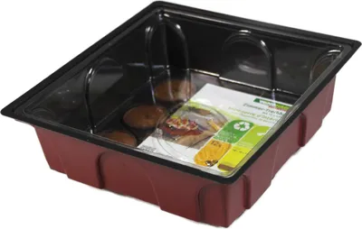 Produktbild von Winhager Anzucht-Gewächshaus Midi 19,5 x 19 x 11 cm + 12 Quelltabs