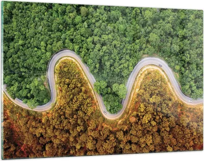 Produktbild von Bilder auf glas - Einteilig - Luftaufnahmen Weg Wald - 120x80cm - Glasbilder - Wandbilder - Bilder - zum Aufhängen bereit - Wanddekoration aus Glas - Glas Bilder - Wandbild auf Glas - GAA120x80-4659