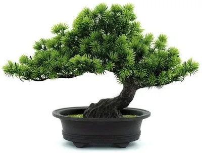 Obrázek produktu pro Umělý bonsaj, zelený, 24 cm, dekorace do interiéru
