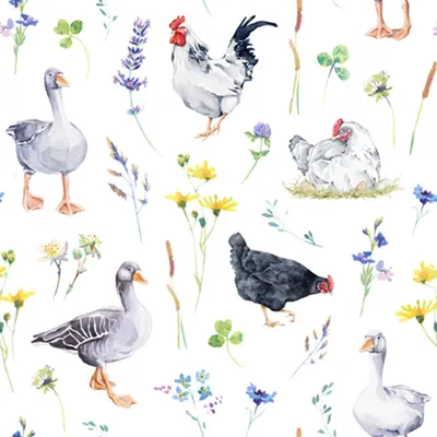Produktbild von 20 Servietten Poultry - Hühner und Gänse 33x33cm