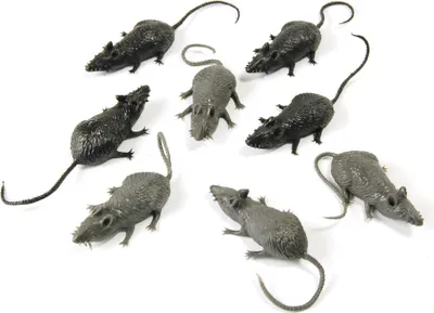 Productafbeelding van Bristol Novelty kunststof muizen, set van 8 stuks, model BN1700 (één maat) (zwart/grijs)