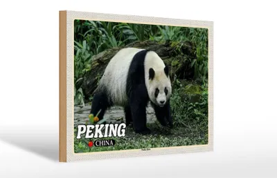Produktbild von Holzschild Reise 30x20cm Peking China Panda Haus Schild